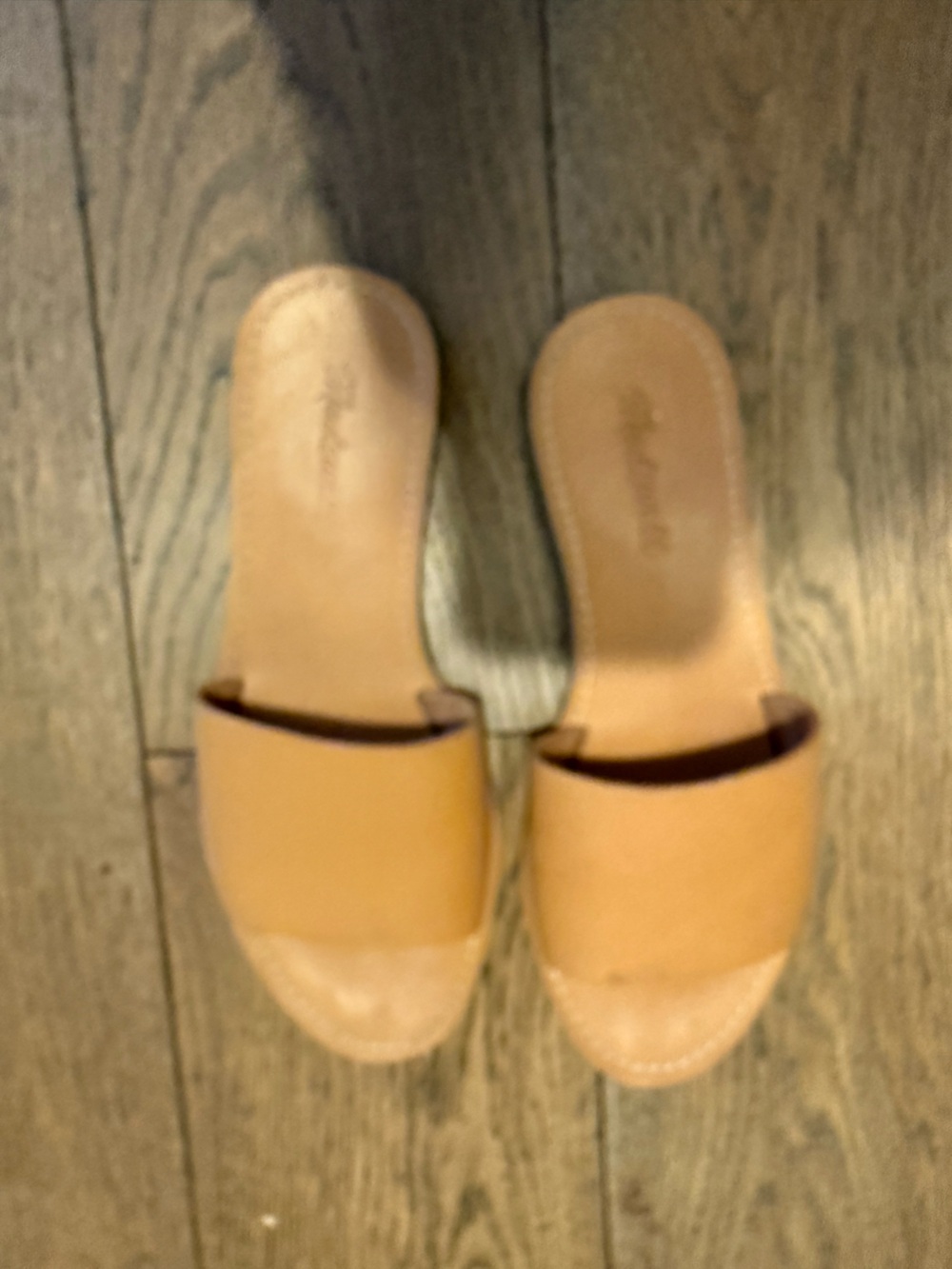 Madewell Tan Leather Slide Mules